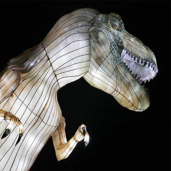 Attractive Animal Crocodile Lighting Festival Chinese Lanterns